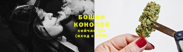 шишки Армянск