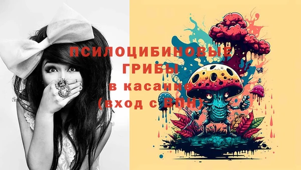 трава Арсеньев