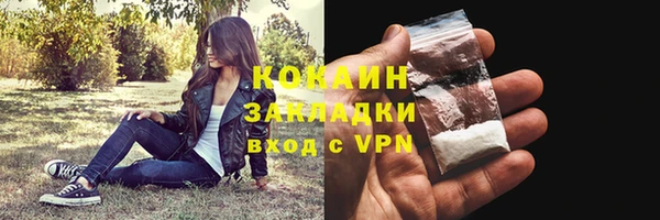 трава Арсеньев