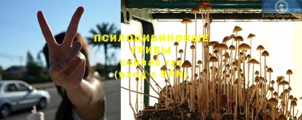 шишки Армянск