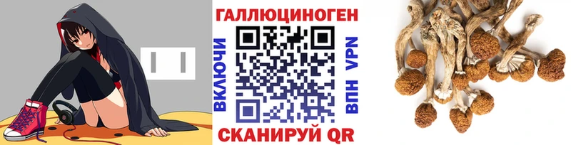 Галлюциногенные грибы Magic Shrooms shop официальный сайт Усть-Лабинск